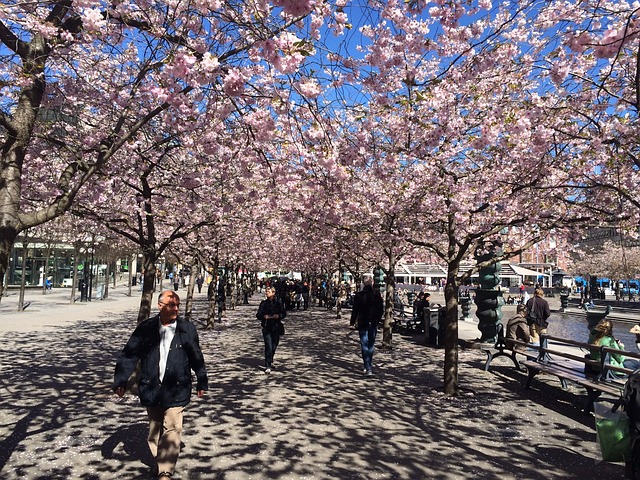 free walking tour stockholm