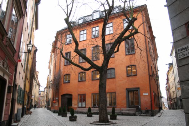 Castanea old town Stockholm Castanea old town Stockholm